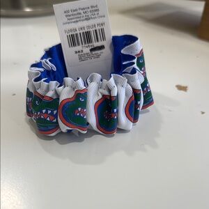 Florida Gators Blue and White Hair Pony